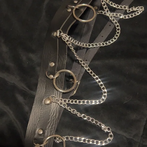 Chain Belt - Picture 2 of 2